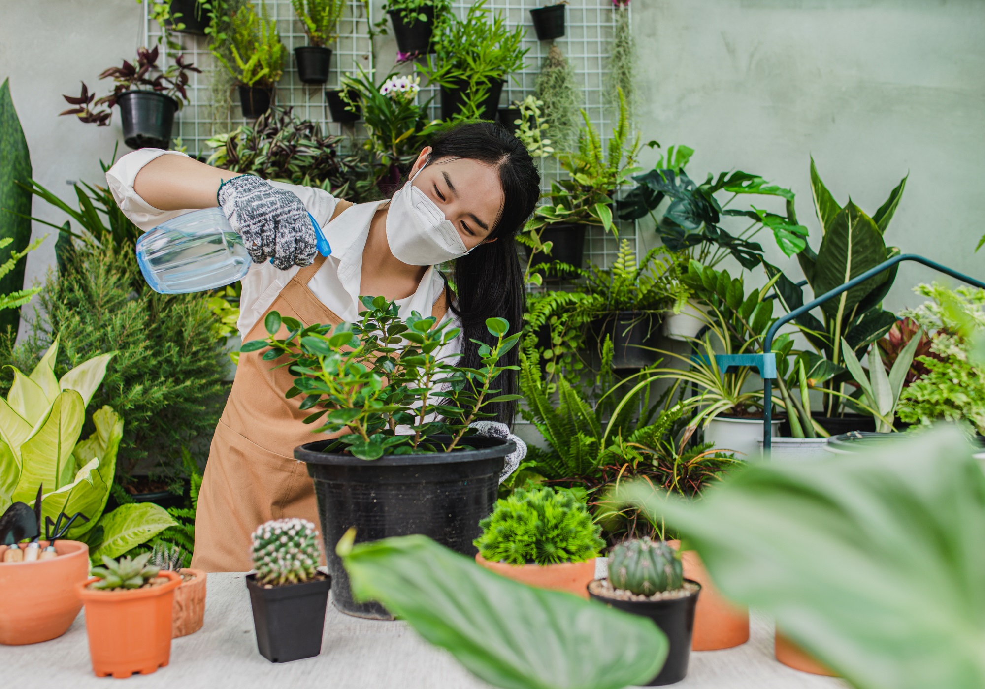 Desain Taman Impian Anda dengan Mudah: Tips dan Trik dari Jasa Taman Jogja